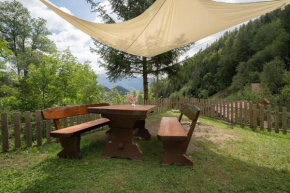 Olga & Ludvik country apartment